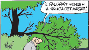 Obligation Légale de Débroussaillement
