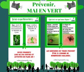MAI en vert – Maladie de Lyme