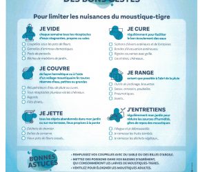 Limiter les nuisances du moustique-tigre