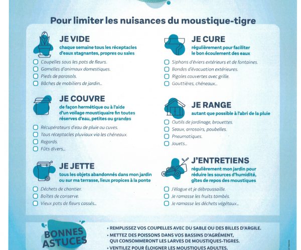 Limiter les nuisances du moustique-tigre