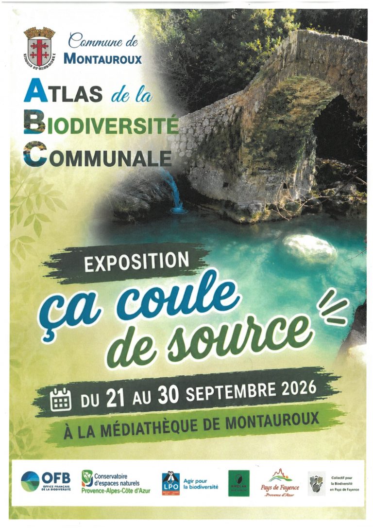 Exposition : ça coule de source