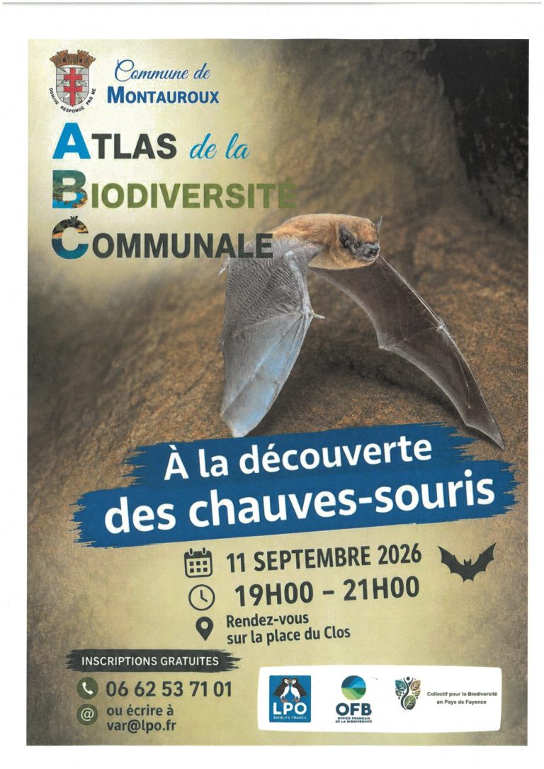 A la découverte des chauves-souris